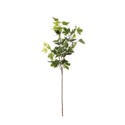 VARA HIEDRA BICOLOR