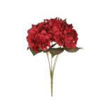 R.HORTENSIAS X5