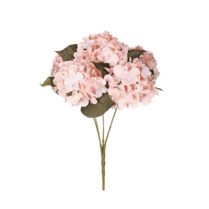 R.HORTENSIAS X5