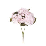 R.HORTENSIAS X5