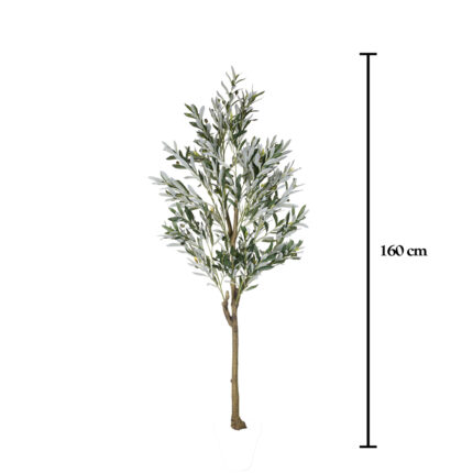 MATA OLIVO 1.60MT