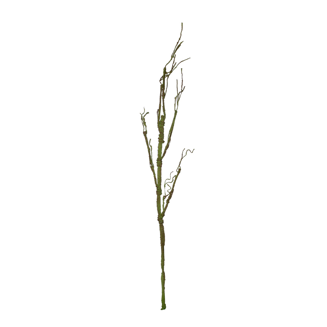 88100219-19.jpg VARA RAIZ