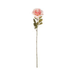 ROSA GRANDIFLORA *SALMON