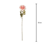 ROSA GRANDIFLORA *SALMON