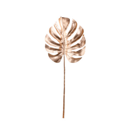 HOJA COSTILLA 73CM