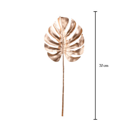 HOJA COSTILLA 73CM