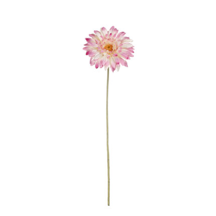 VARA GERBERA MEDIA X1