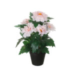 MACETITA ZINNIA