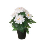 MACETITA ZINNIA