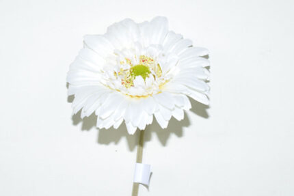 VARA GERBERA 63CM *BLANCO