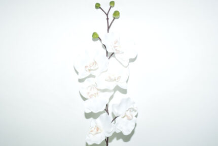 VARA ORQUIDEA