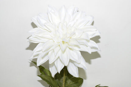 VARA DALIA SPRAY