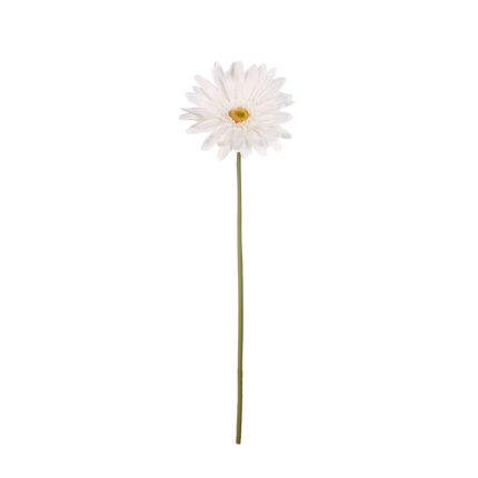 GERBERA GIGANTE *BLANCO