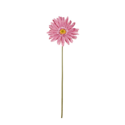 GERBERA GIGANTE *BURDEOS