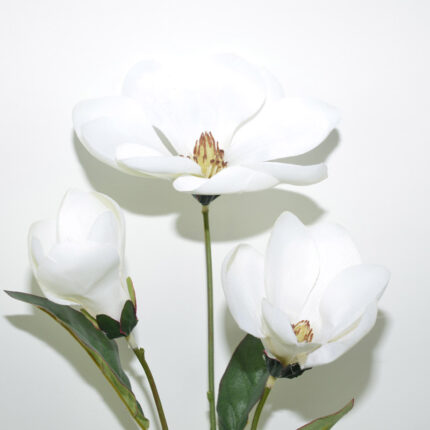 VARA MAGNOLIA X3 *BLANCO