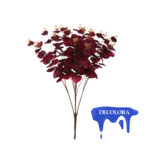 R.EUCALYPTUS BUNCH