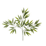 POMO BAMBU X12