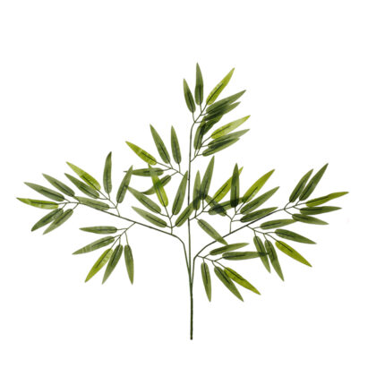 POMO BAMBU X12