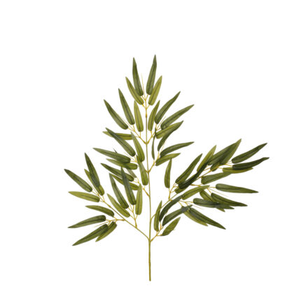 POMO BAMBU X12