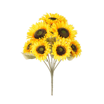 R. GIRASOL X7