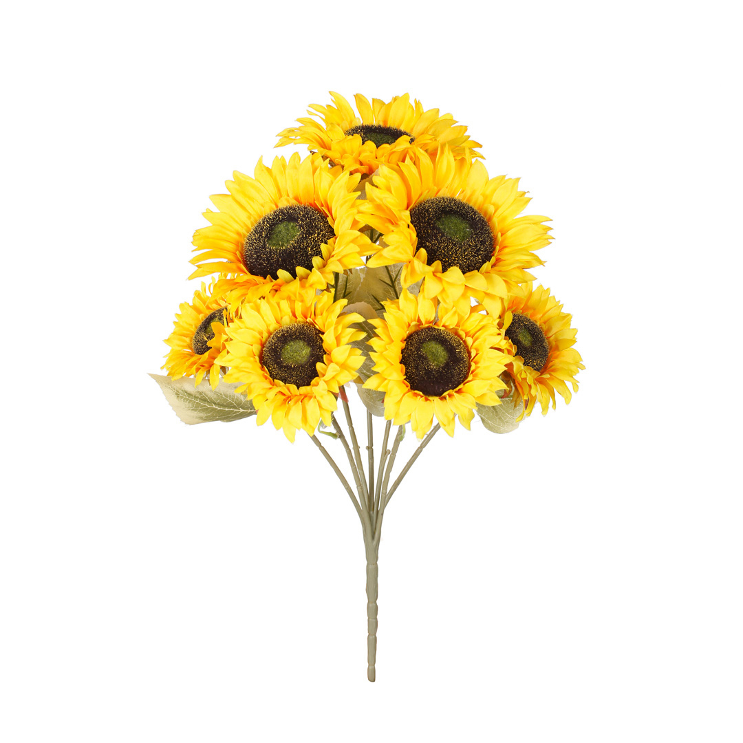 99007054-3.jpg R. GIRASOL X7
