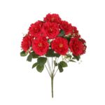 R. CAMELIA GIG.