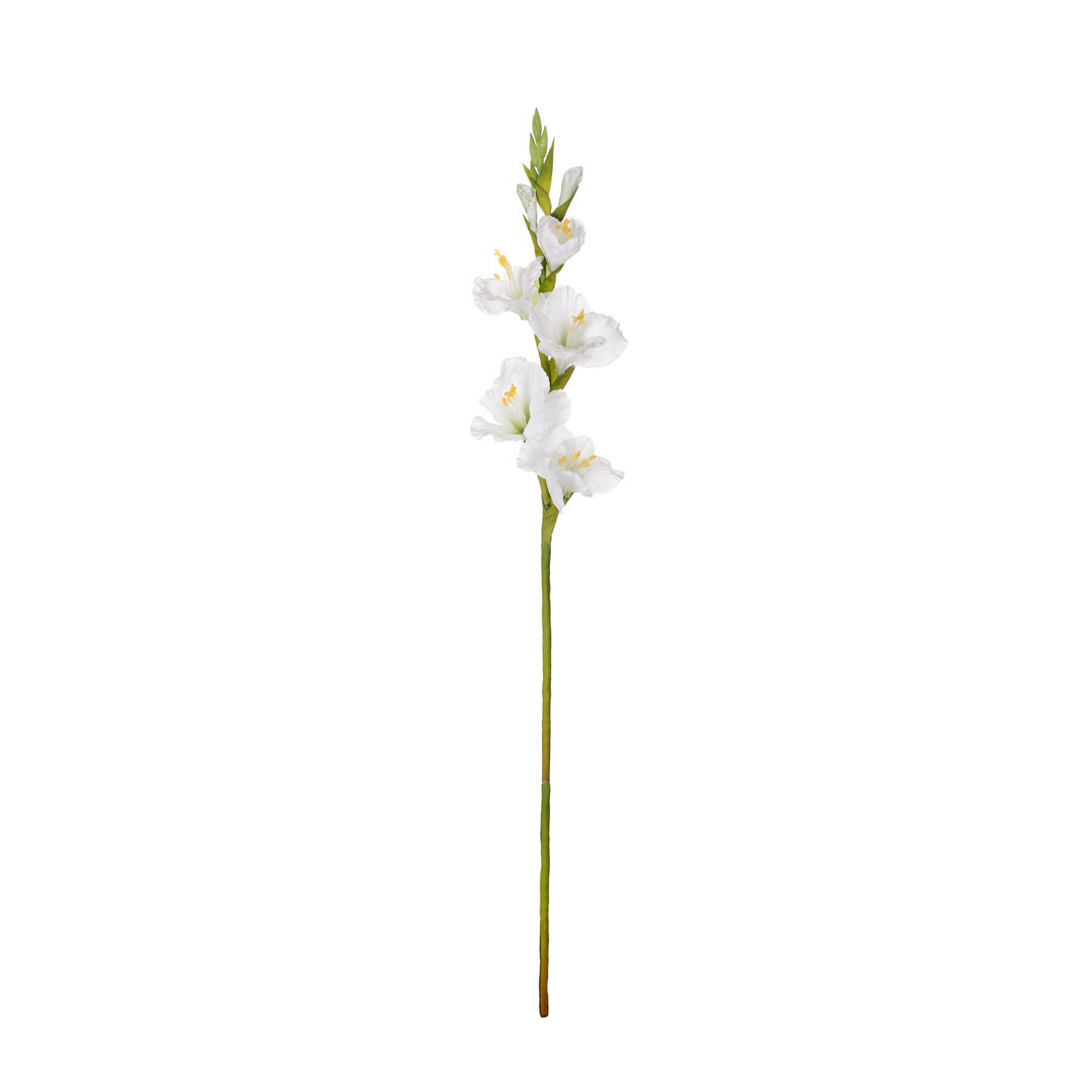 99009002-0.jpg VARA GLADIOLO SPRING