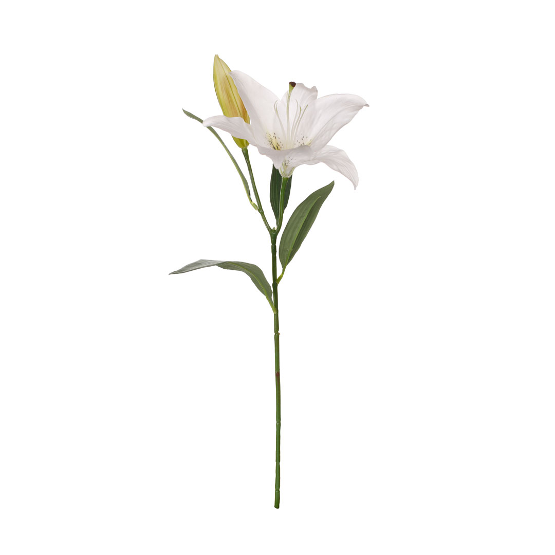 99009005-0.jpg VARA LILIUM SPRING