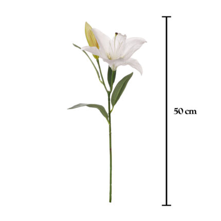 VARA LILIUM SPRING