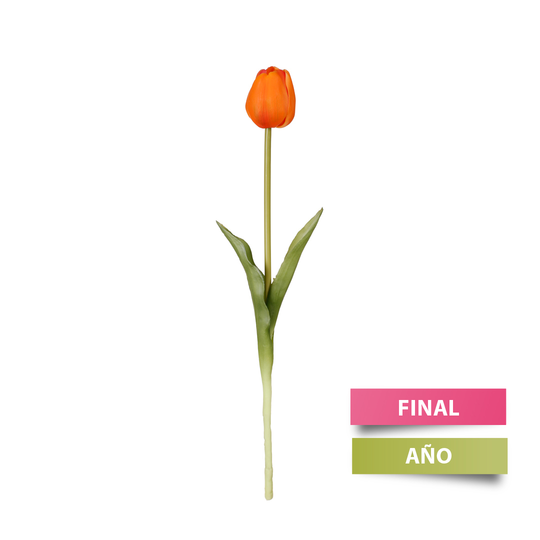 99009016-5.jpg VARA TULIPAN TACTO NAT. PRIMAVERAL *NARANJA