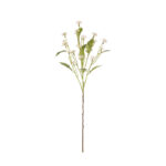 V. MARGARITA DAISY SPRAY