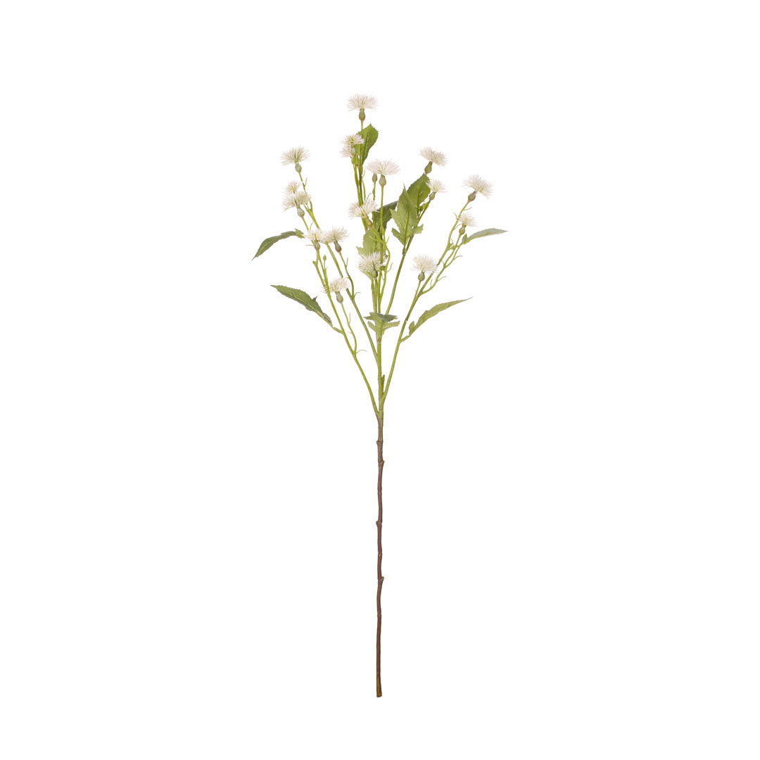 99011001-0.jpg V. MARGARITA DAISY SPRAY
