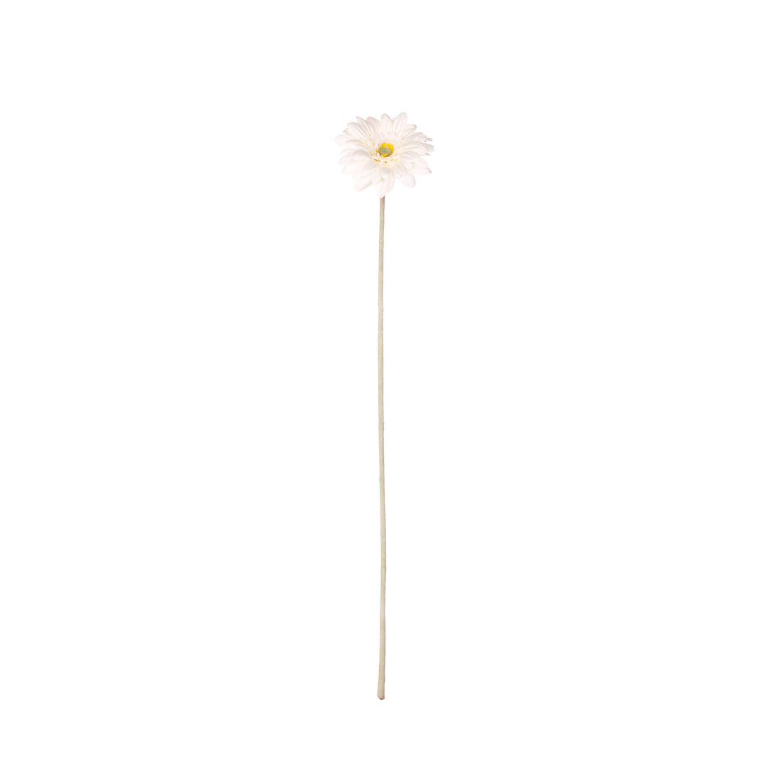 99011005-0.jpg V. MINI GERBERA SPRAY