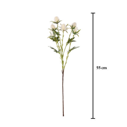 VARA ERYNGIUM SPRAY
