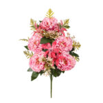 R.ENC.PEONIAS