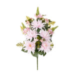 R.ENC.DALIAS/NARDOS