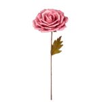 ROSA GIGANTE