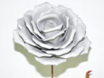 ROSA GIGANTE