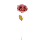ROSA NATURAL CON HOJA