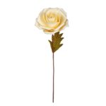 ROSA NATURAL CON HOJA