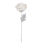 ROSA NATURAL CON HOJA