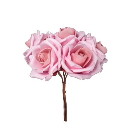 ROSA X5 POMO *ROSA