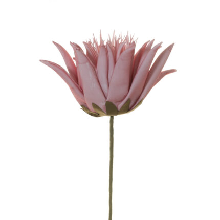 VARA CARDO *ROSA
