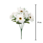 R. CAPULLO/GERBERA