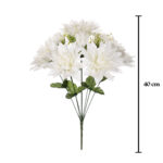 R. DHALIA *FUXIA