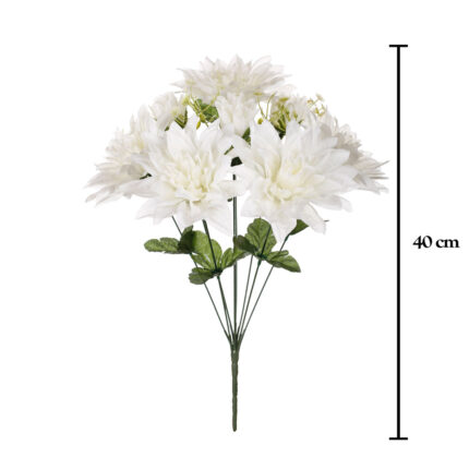 R. DHALIA *FUXIA