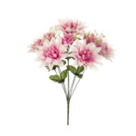 R. DHALIA *FUXIA