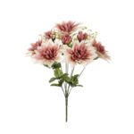 R. DHALIA *FUXIA