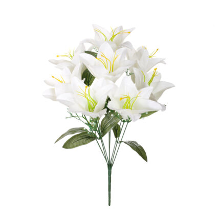 R. LILIUM GIG.