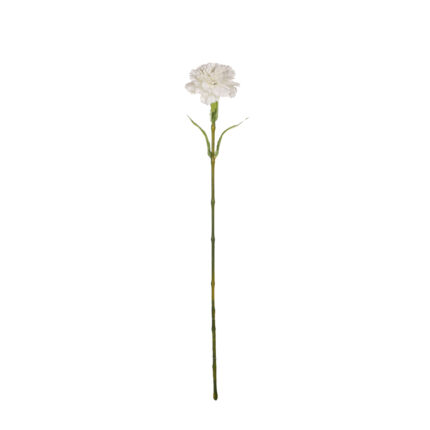 CLAVEL X1 *BLANCO